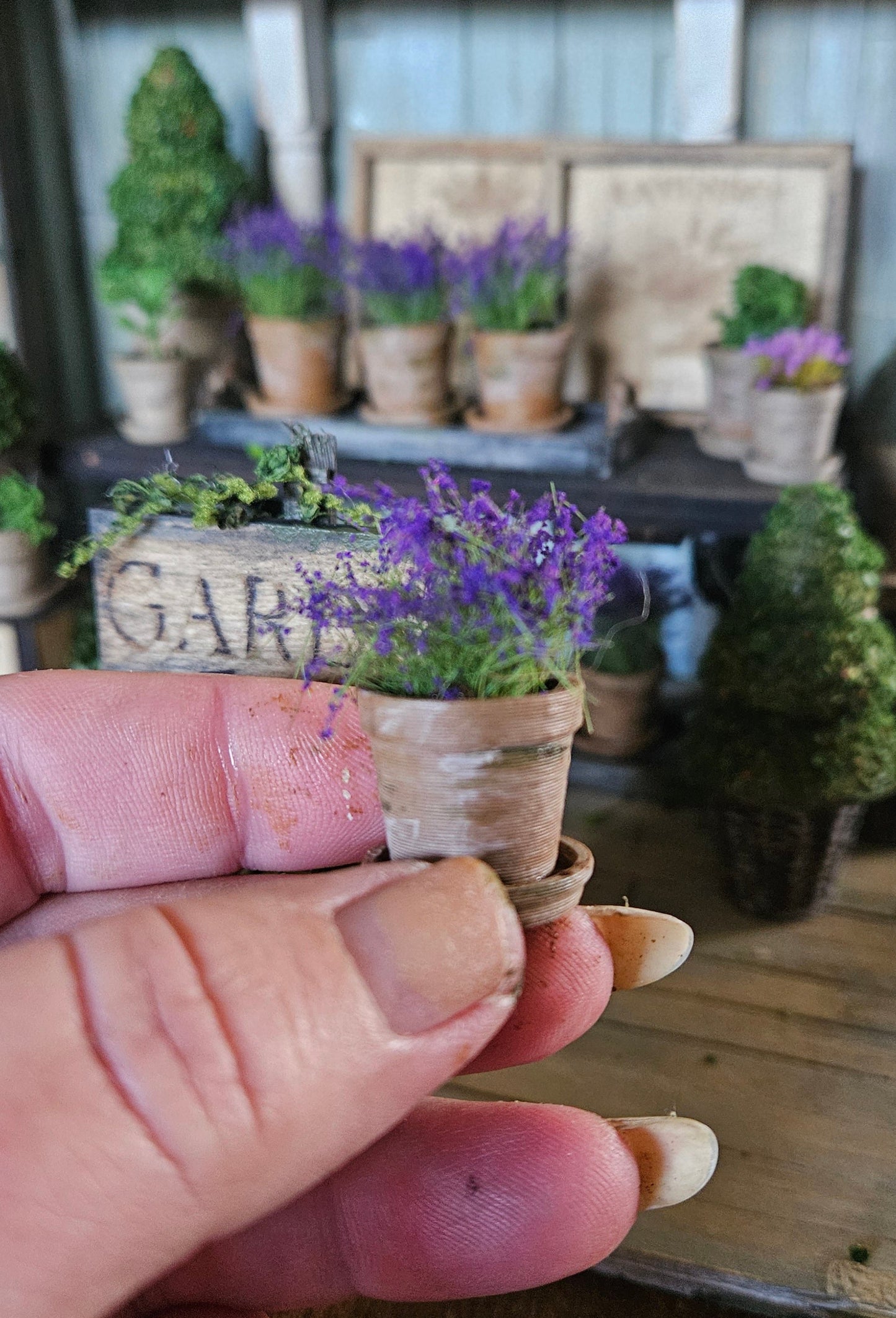 Mini Lavendelplantje