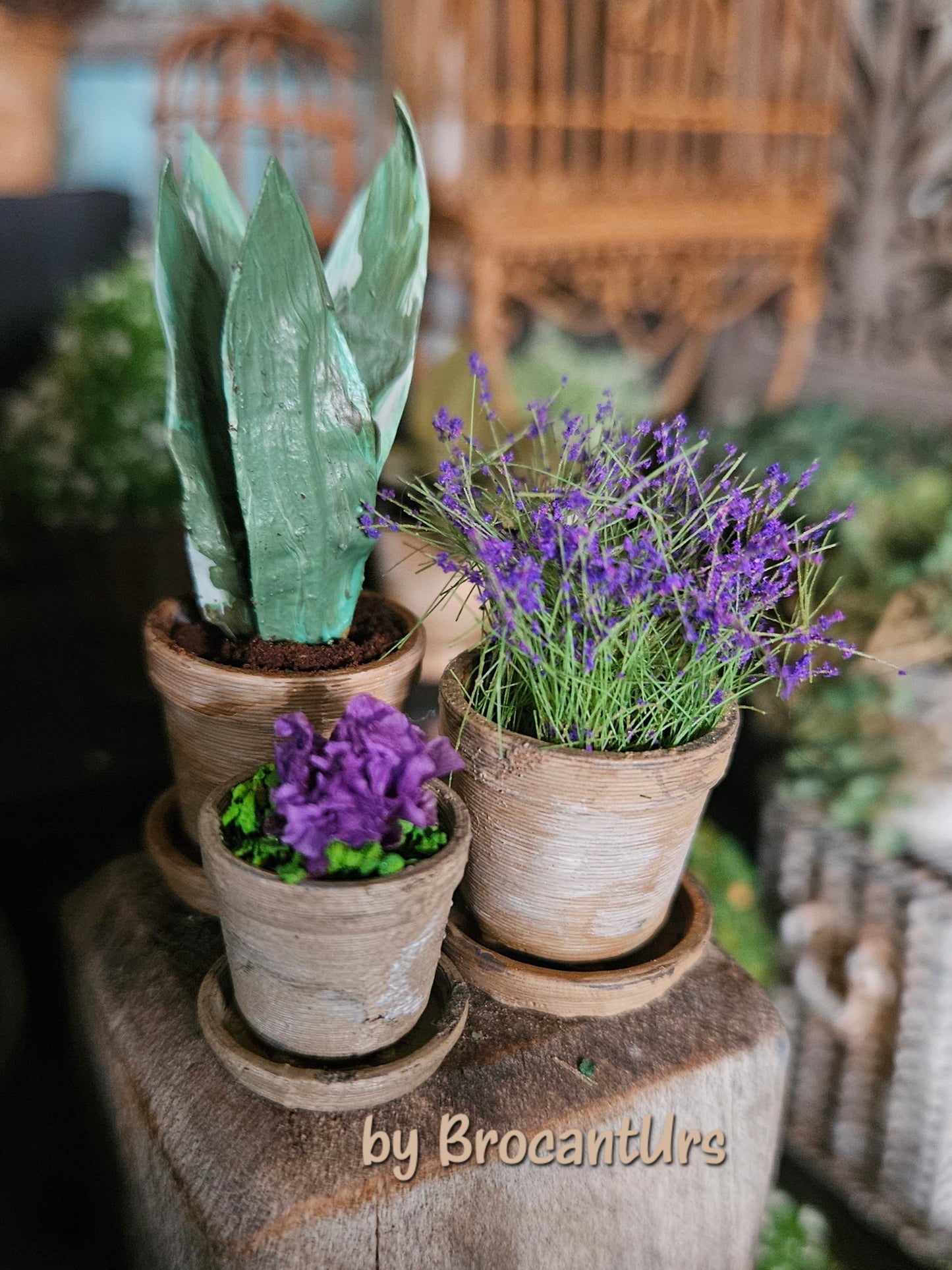 Mini Lavendelplantje