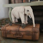 Miniatuur Oude Olifant op Wielen – Handgemaakt in Brocante Stijl 1:12