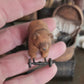 Miniatuur Oude Speelgoedbeer op Wielen – Nostalgische Brocante Charme