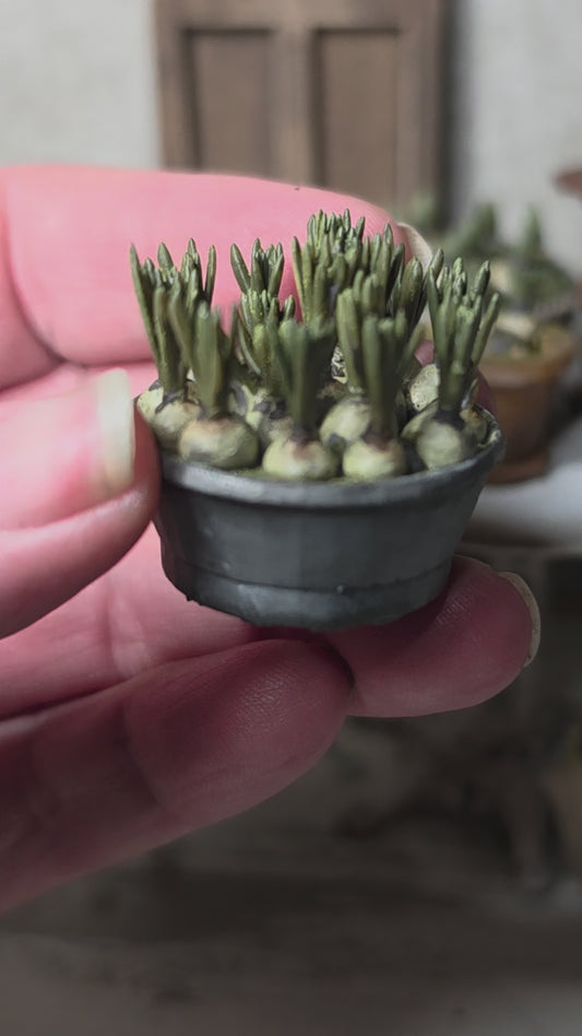 Miniatuur blauwe druifjes in schaal, schaal 1 op 12, poppenhuis, diorama