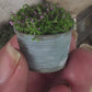Miniatuur Lila Plantje in Verweerd Zinken Teiltje – Handgemaakt in Brocante Stijl 1:12