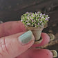 Mini plantje lila (1:12)