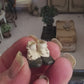 Handbeschilderd Victoriaans Miniatuur Schoentje – Brocante Decoratie in Miniatuur