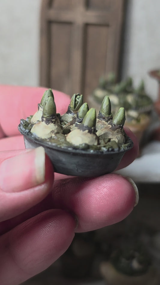 Miniatuur hyacinten druifjes in zinken schaaltje, schaal 1 op 12, poppenhuis, diorama