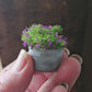 Miniatuur lila/paars plantje  1:12 – Resin – Zinken Teiltje – Poppenhuis Decoratie-Diorama