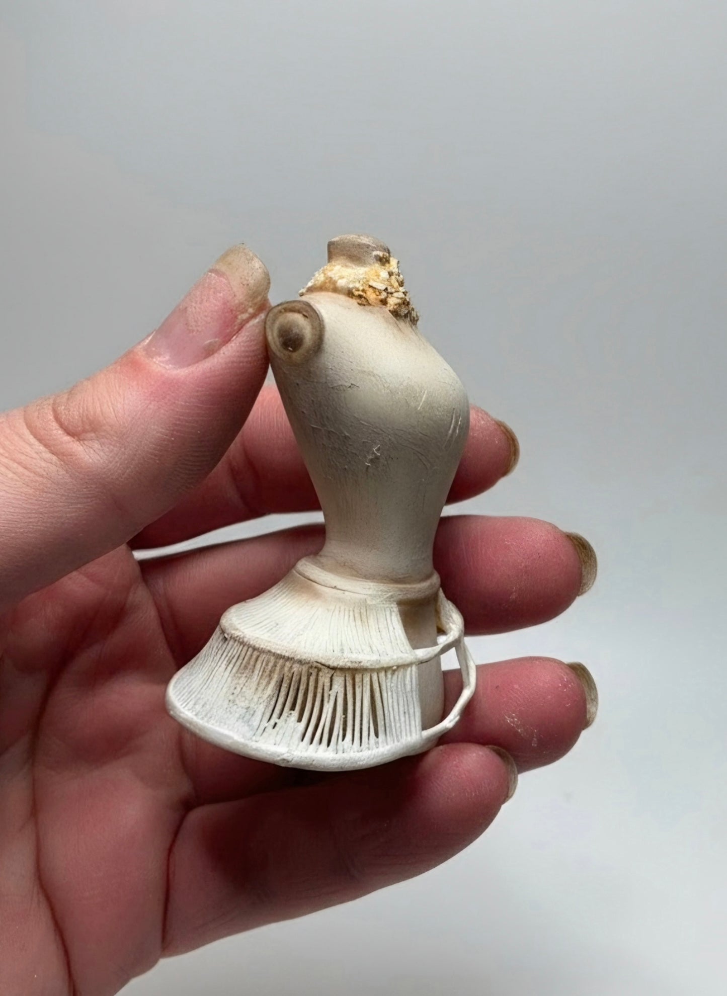 Miniatuur Buste met Crinoline – Victoriaanse Couture in Brocante Stijl