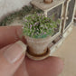 Miniatuur Lila Plantje in Verweerd Terracotta Potje – Handgemaakt in Brocante Stijl 1:12