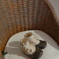 Handbeschilderd Victoriaans Miniatuur Schoentje – Brocante Decoratie in Miniatuur