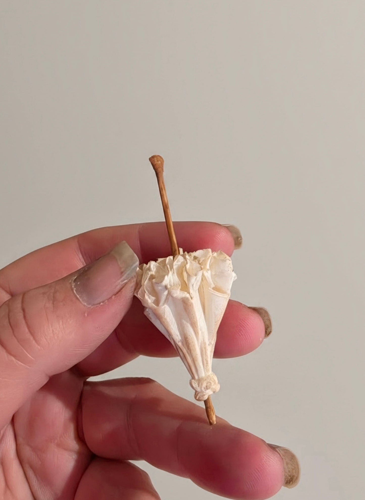 Victoriaans miniatuur parasolletje – handbeschilderd brocante detail