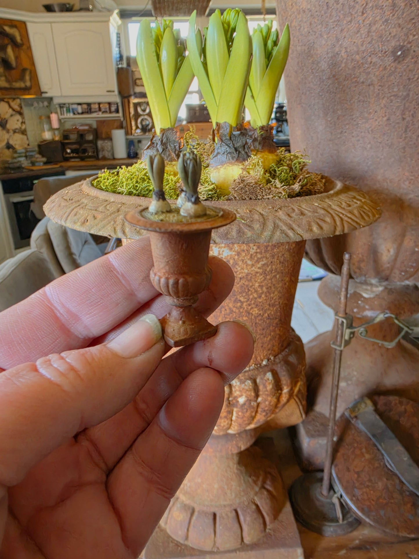 Miniatuur Hyacint in roest vaas, schaal 1 op 12, poppenhuis, diorama