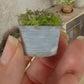 Miniatuur Lila Plantje in Verweerd Zinken Teiltje – Handgemaakt in Brocante Stijl 1:12