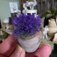 Miniatuur gres pot met lavendel, schaal 1 op 12, poppenhuis, diorama