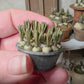 Miniatuur blauwe druifjes in schaal, schaal 1 op 12, poppenhuis, diorama