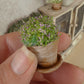 Miniatuur Lila Plantje in Verweerd Terracotta Potje – Handgemaakt in Brocante Stijl 1:12