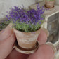 Miniatuur Lavendelplantje in Verweerd Terracotta Potje – Handgemaakt in Brocante Stijl 1:12
