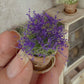 Miniatuur Lavendelplantje in Verweerd Terracotta Potje – Handgemaakt in Brocante Stijl 1:12